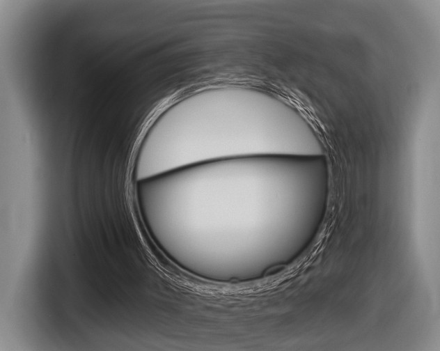 X0000116570003200912101013