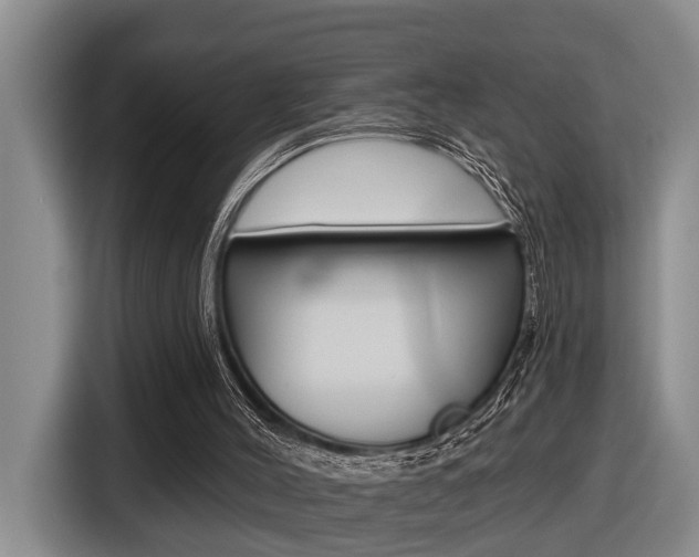 X0000116570004200912101013