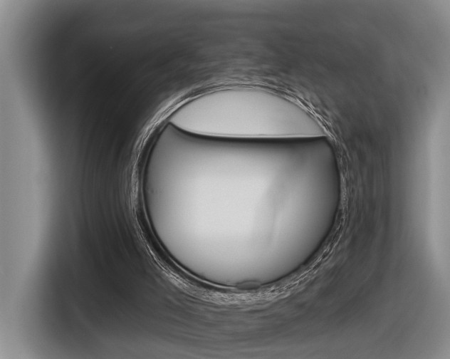 X0000116570005200912101013