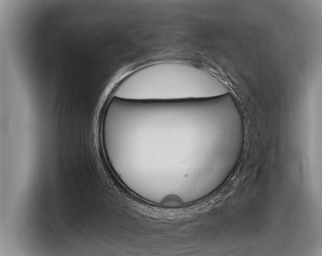 X0000116570006200912101012