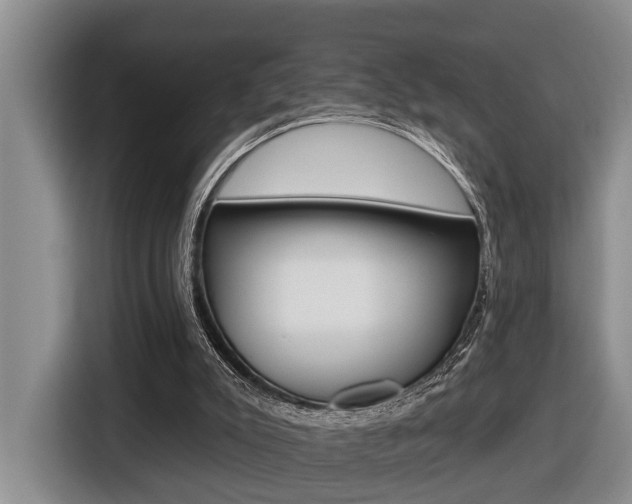 X0000116570007200912101012