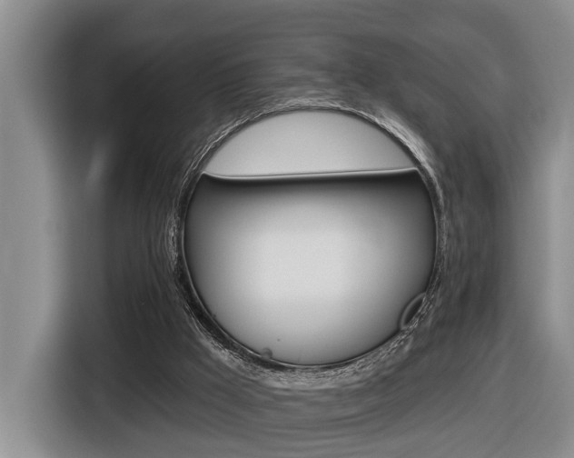 X0000116570009200912101012