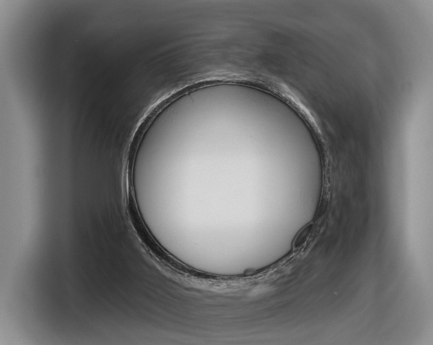 X0000116570011200912101012