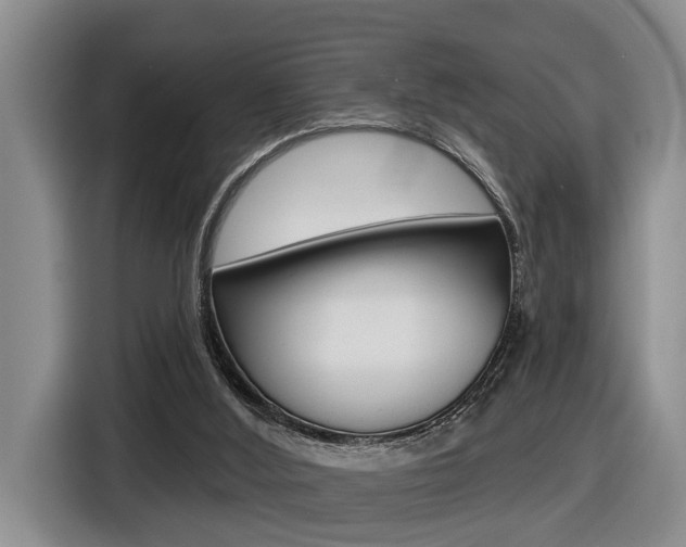 X0000116570012200912101012