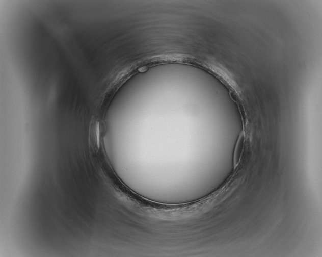 X0000116570013200912101012