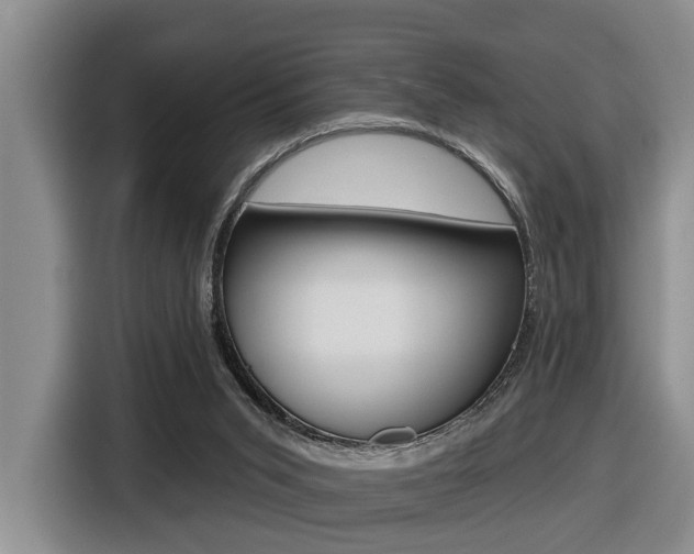 X0000116570015200912101012