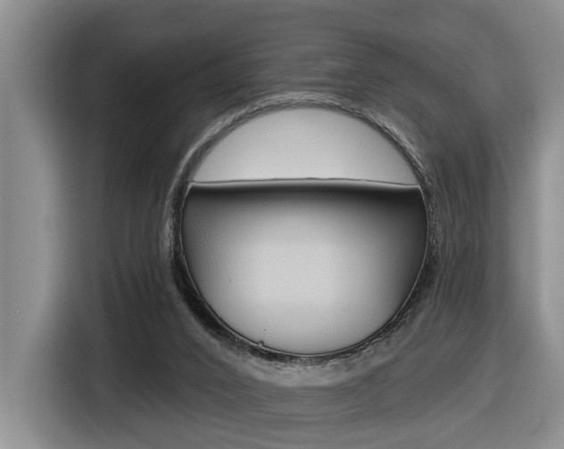 X0000116570016200912101012