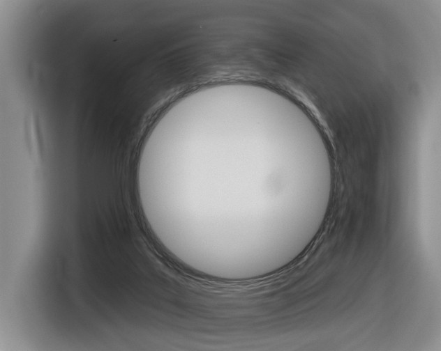 X0000116570019200912101012