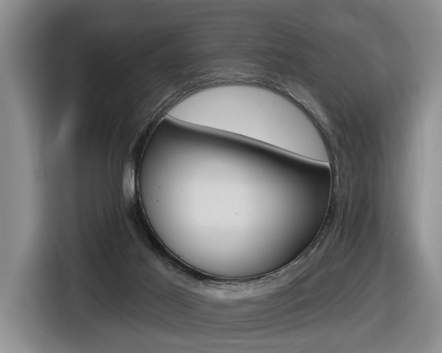 X0000116570021200912101012