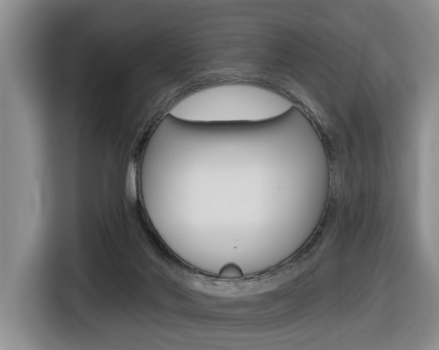 X0000116570022200912101012