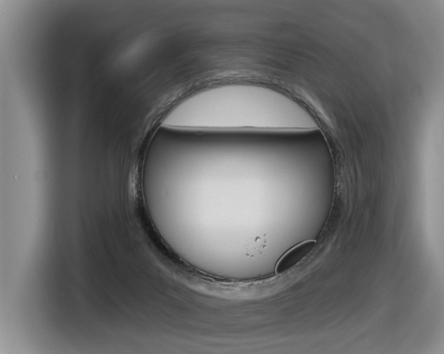 X0000116570023200912101012