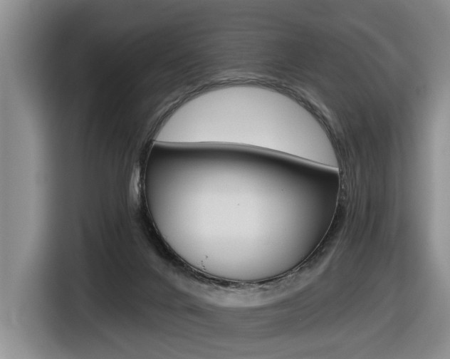 X0000116570024200912101012