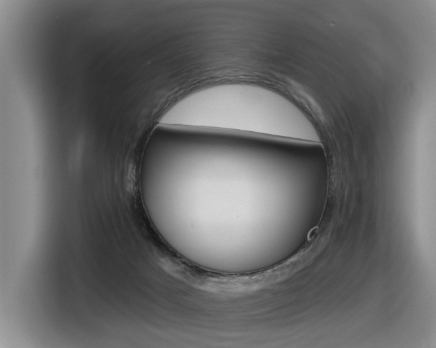 X0000116570025200912101012