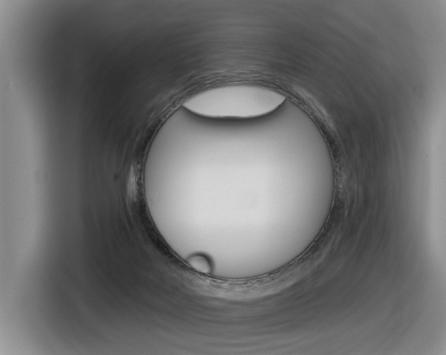 X0000116570026200912101012