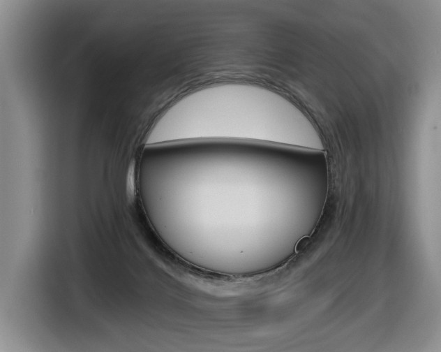 X0000116570028200912101012