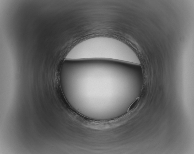 X0000116570029200912101012