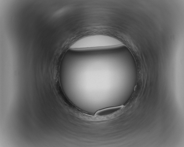 X0000116570031200912101012