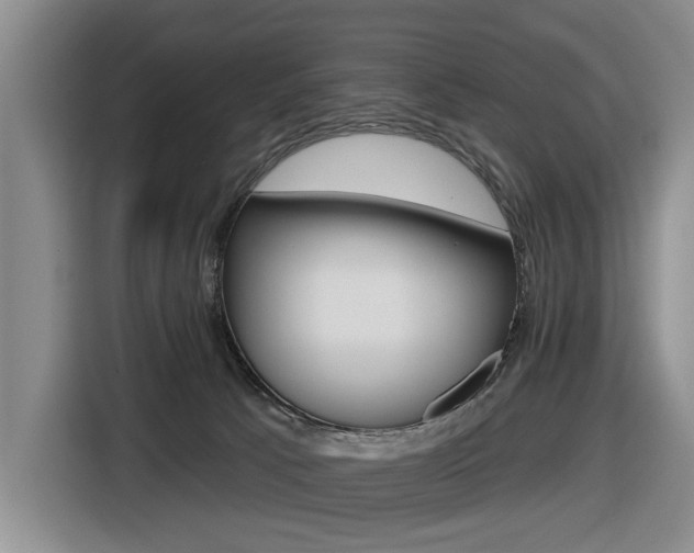 X0000116570033200912101012