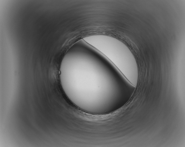 X0000116570035200912101012