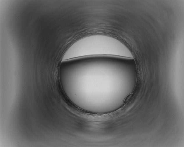 X0000116570036200912101012