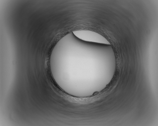 X0000116570038200912101012