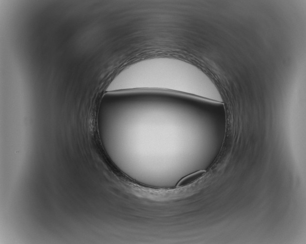 X0000116570039200912101012