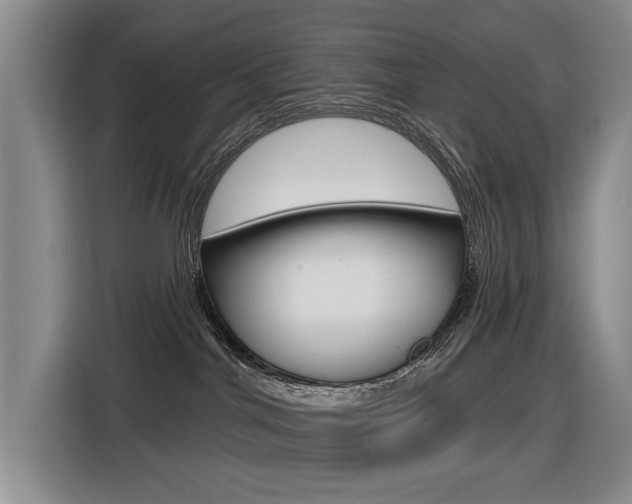 X0000116570044200912101012