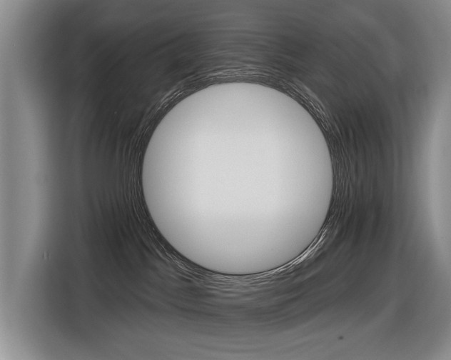 X0000116570045200912101012