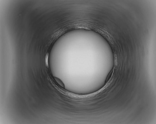 X0000116570047200912101012