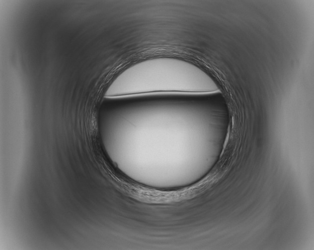 X0000116570048200912101012