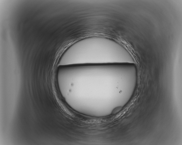 X0000116570049200912101011