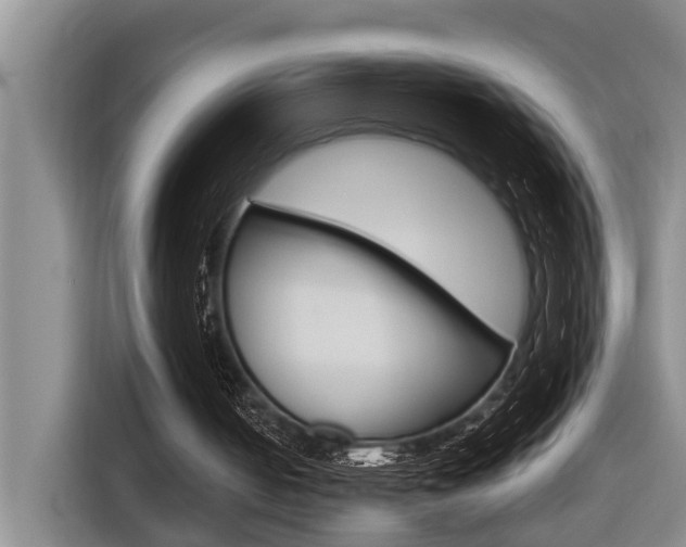 X0000116570050200912101011