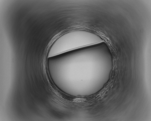 X0000116570051200912101011