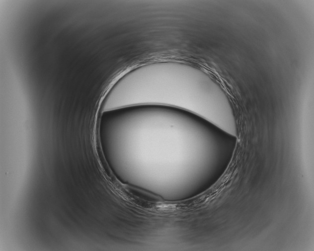 X0000116570052200912101011