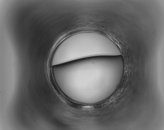 X0000116570053200912101011