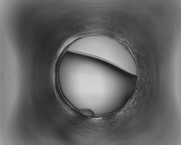 X0000116570054200912101011