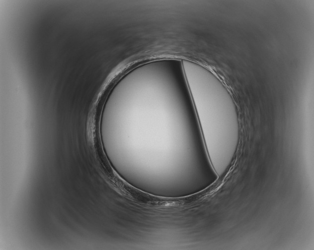 X0000116570056200912101011