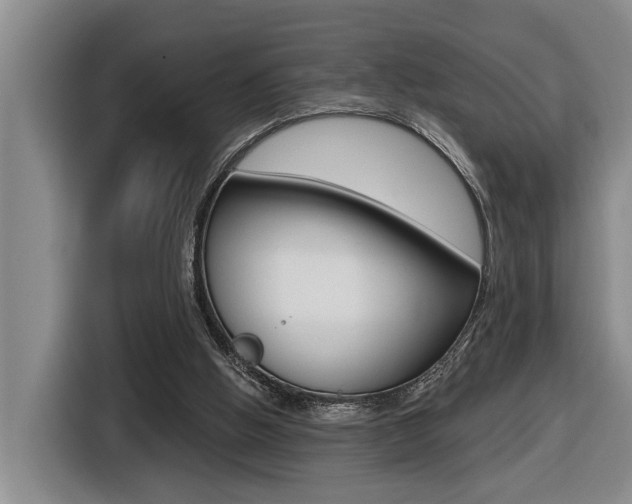 X0000116570058200912101011