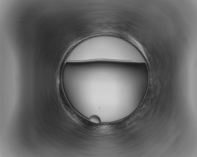 X0000116570059200912101011