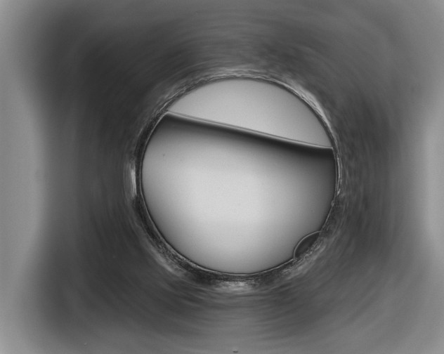 X0000116570061200912101011