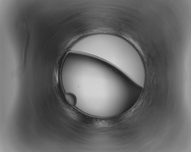 X0000116570062200912101011