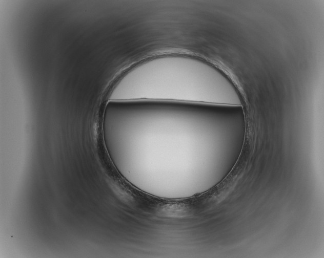 X0000116570063200912101012