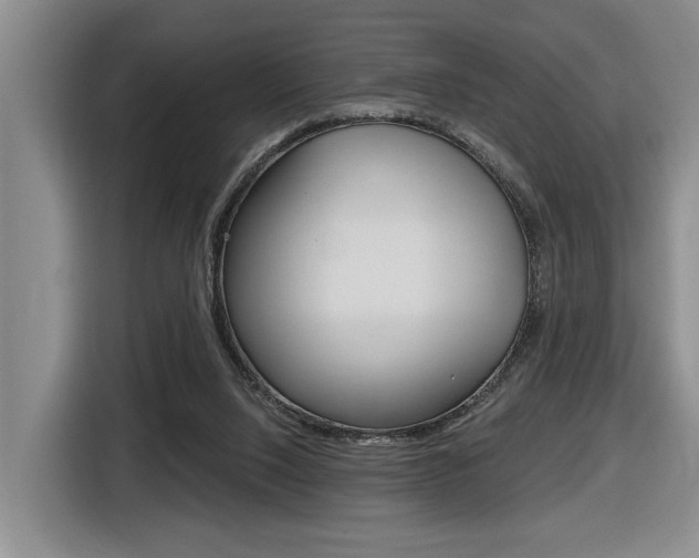 X0000116570064200912101012