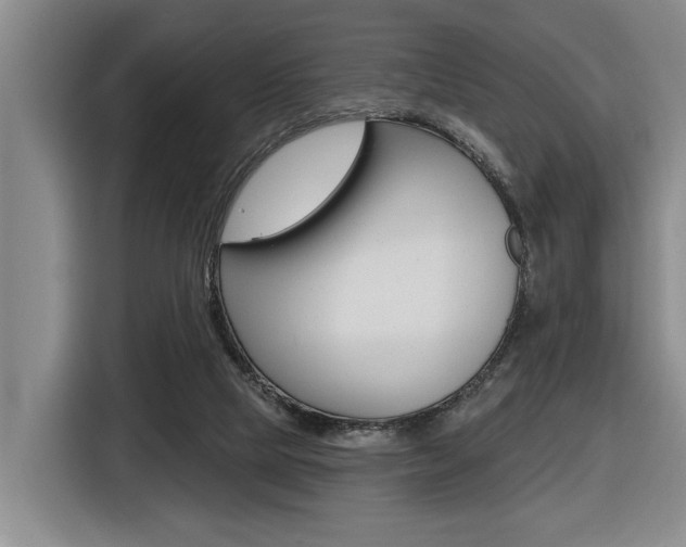 X0000116570065200912101012