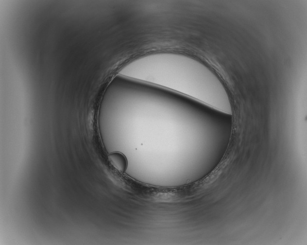 X0000116570066200912101012