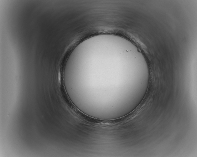 X0000116570067200912101012