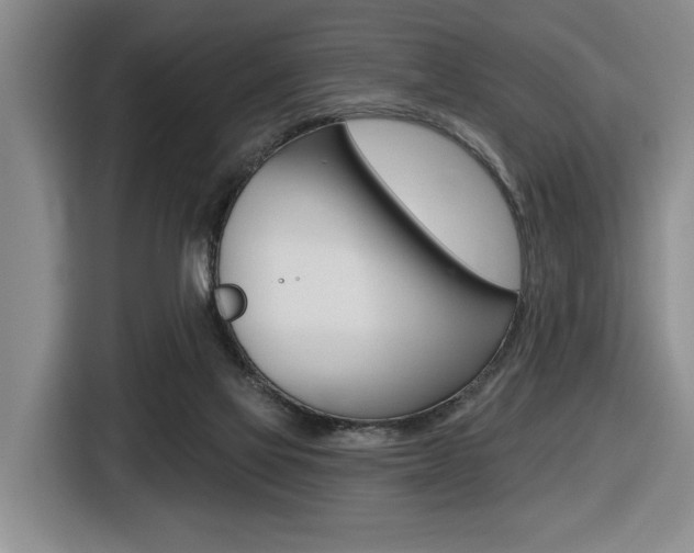 X0000116570069200912101012