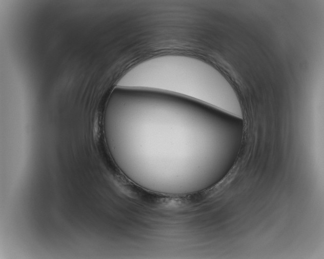 X0000116570074200912101012