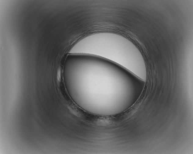 X0000116570076200912101012