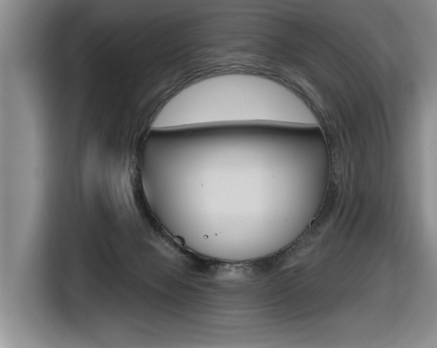 X0000116570077200912101012